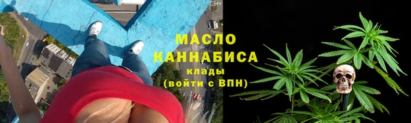 гашик Бородино