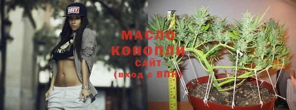 гашик Бородино