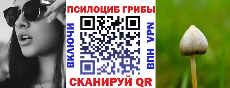 Галлюциногенные грибы MAGIC MUSHROOMS  купить   Сурск 